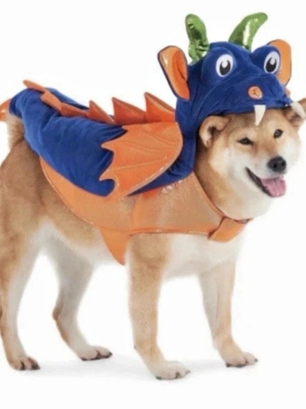 Spooky Night Pet Costume in Blue & Orange